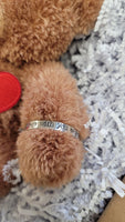 Cremation Comfort Bear