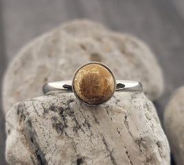Natural Fossil Ring