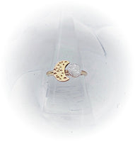 
              Moon Crater Cremation Ring 14k Gold Filled
            