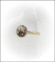 
              8mm Gold or Rose Gold Filled Cremation Ring
            